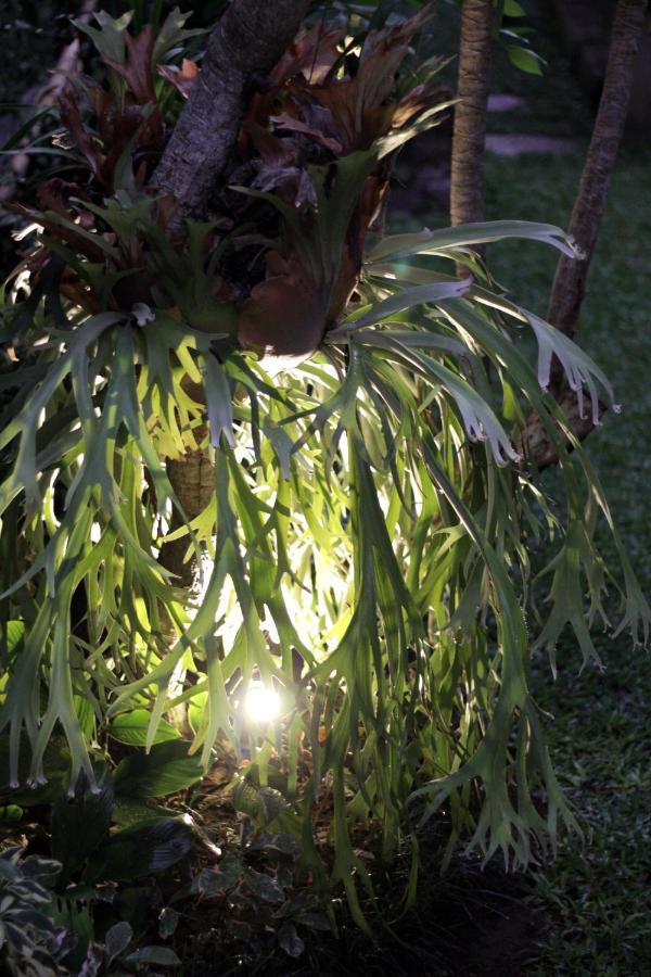 Sari House Ubud - Balinese Style Homestay Dış mekan fotoğraf